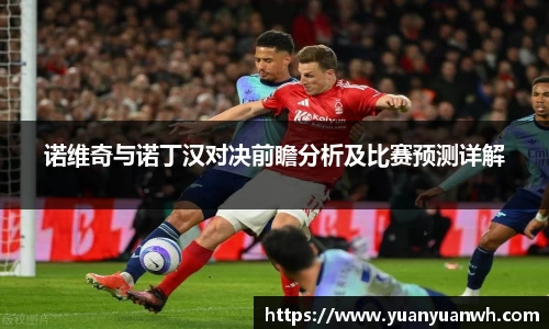诺维奇与诺丁汉对决前瞻分析及比赛预测详解