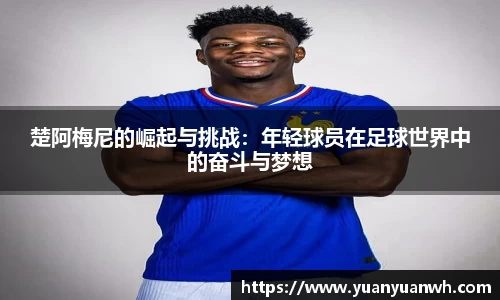 HB火博体育官方网站